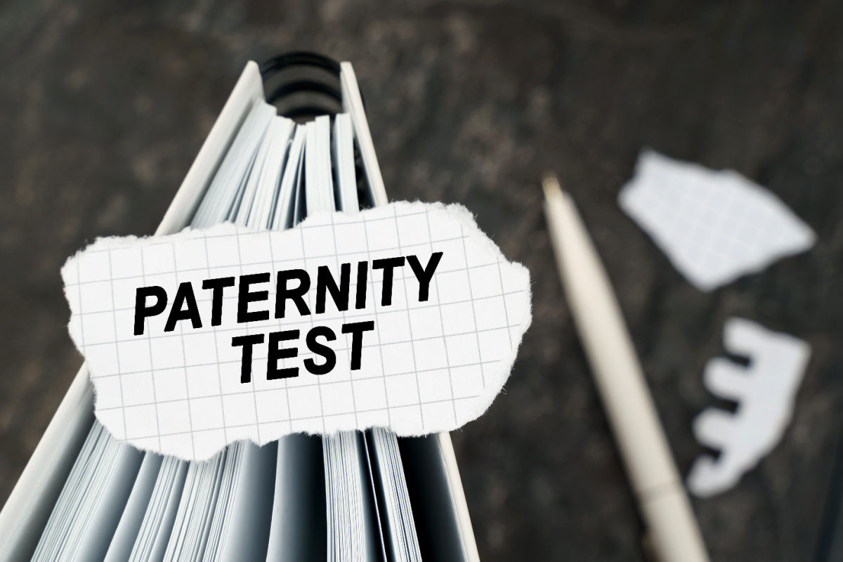 Paternity Test 